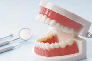 矯正は歯を動かすだけじゃない。成人矯正で大切な“正しい噛み合わせ”とは